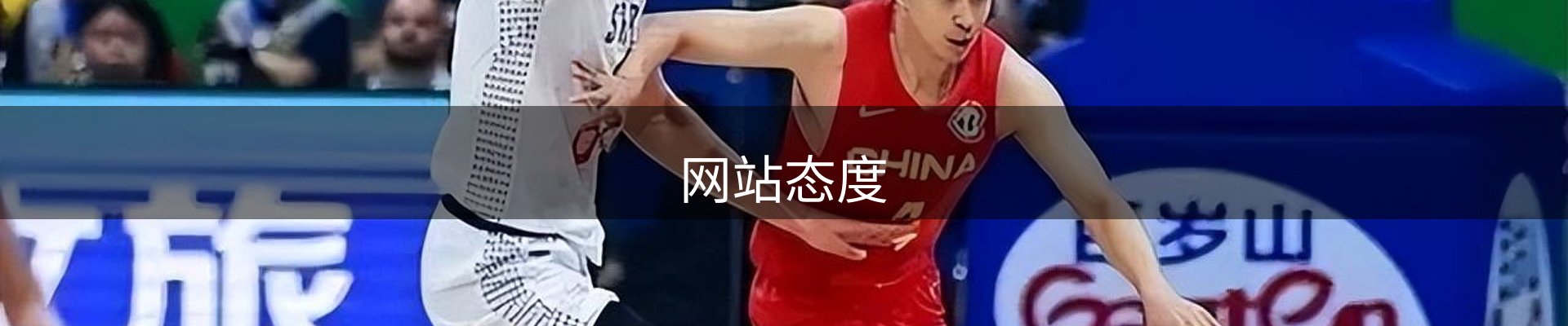 网站态度